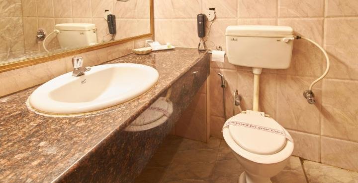 Фото Hotel Basant Residency