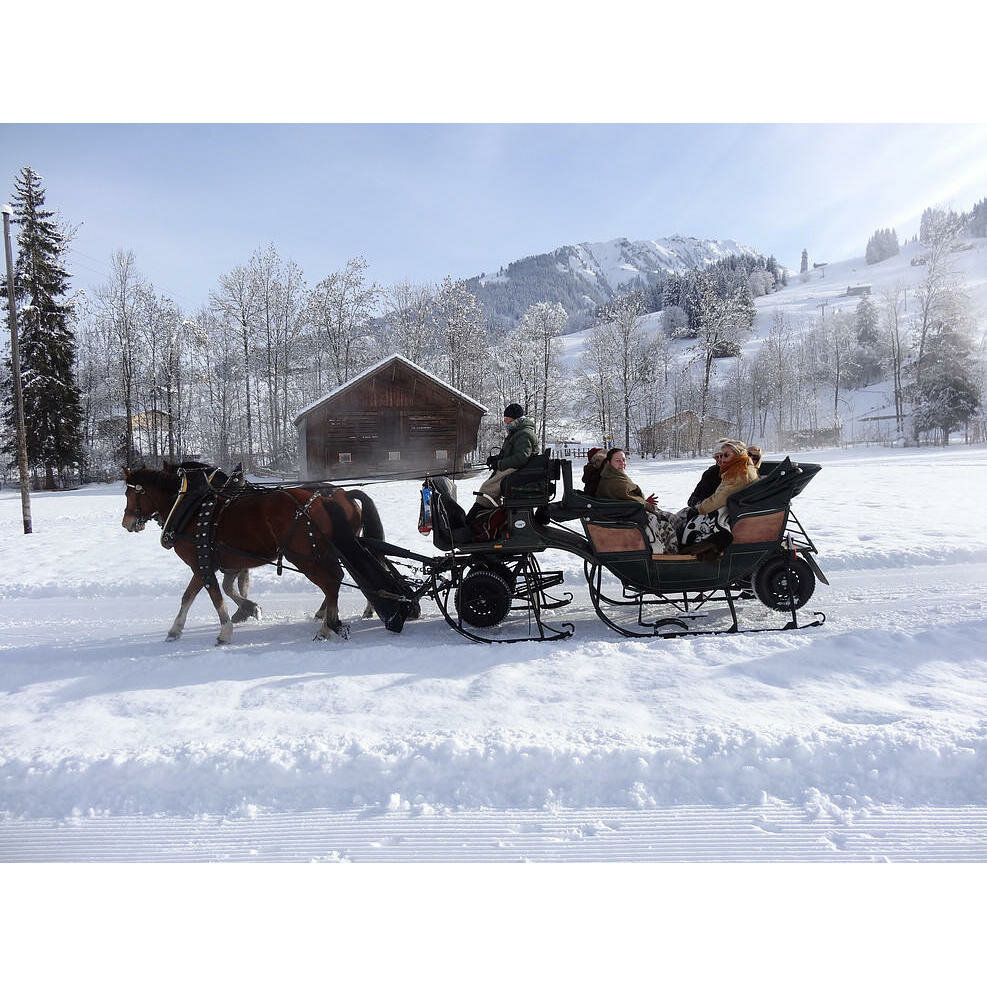 Landmark, attraction Kutscherei von Grünigen Johann, Canton of Bern, photo