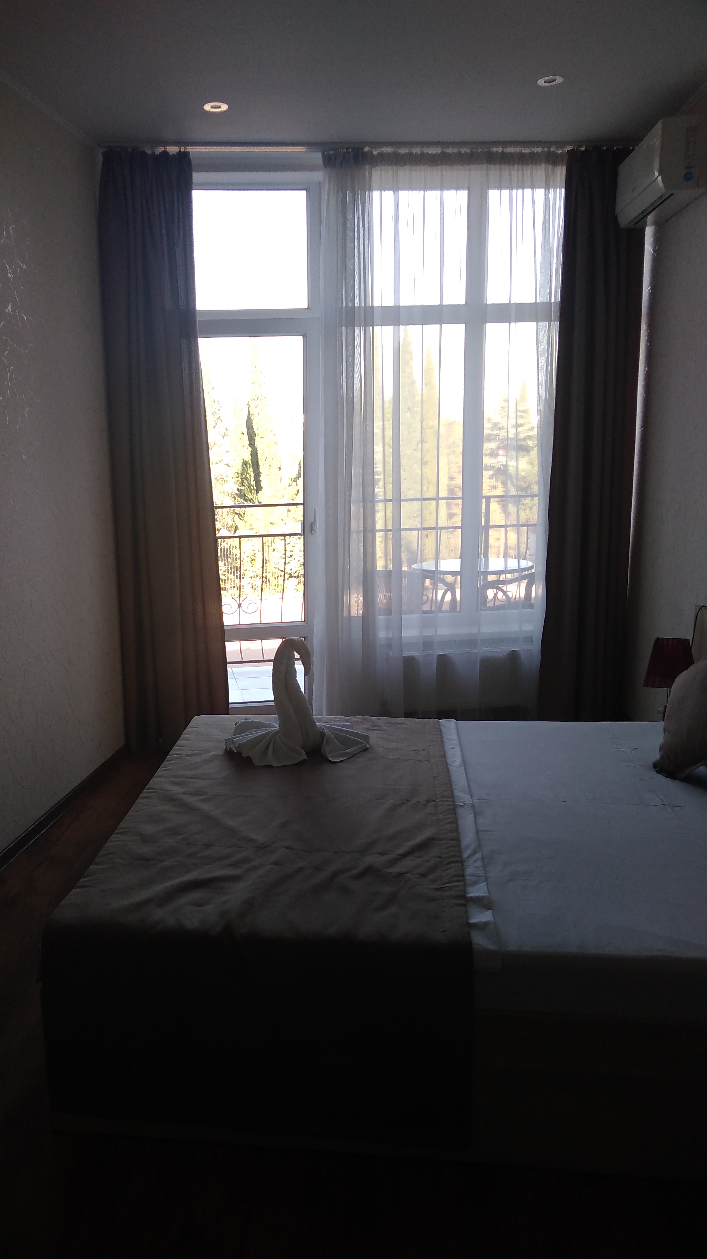 Фото Папайя