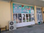 Medsi (Turakul Zexni ko'chasi, 10), hospital para adultos