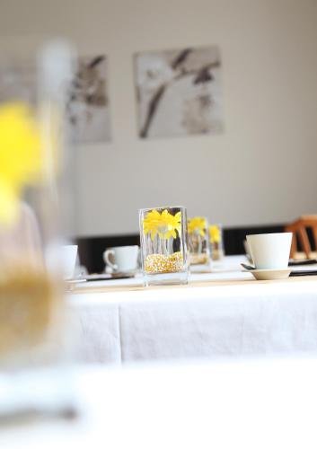 Фото Penzion Bojnice