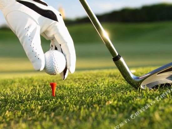 Фото Villa Honeywood Guest House