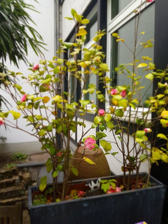 Фото Hotel Stern