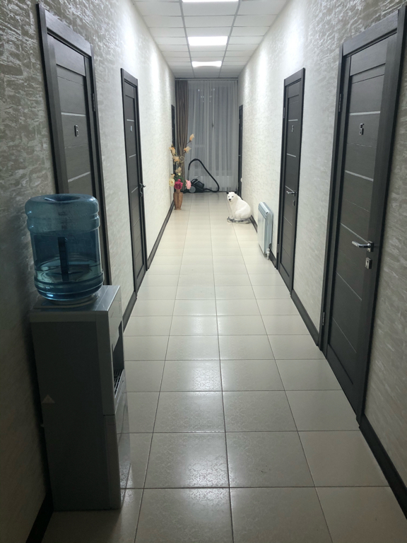 Фото Анжелика