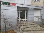 Ekoter (Karl Marx Street, 66к5), organización de proyectos