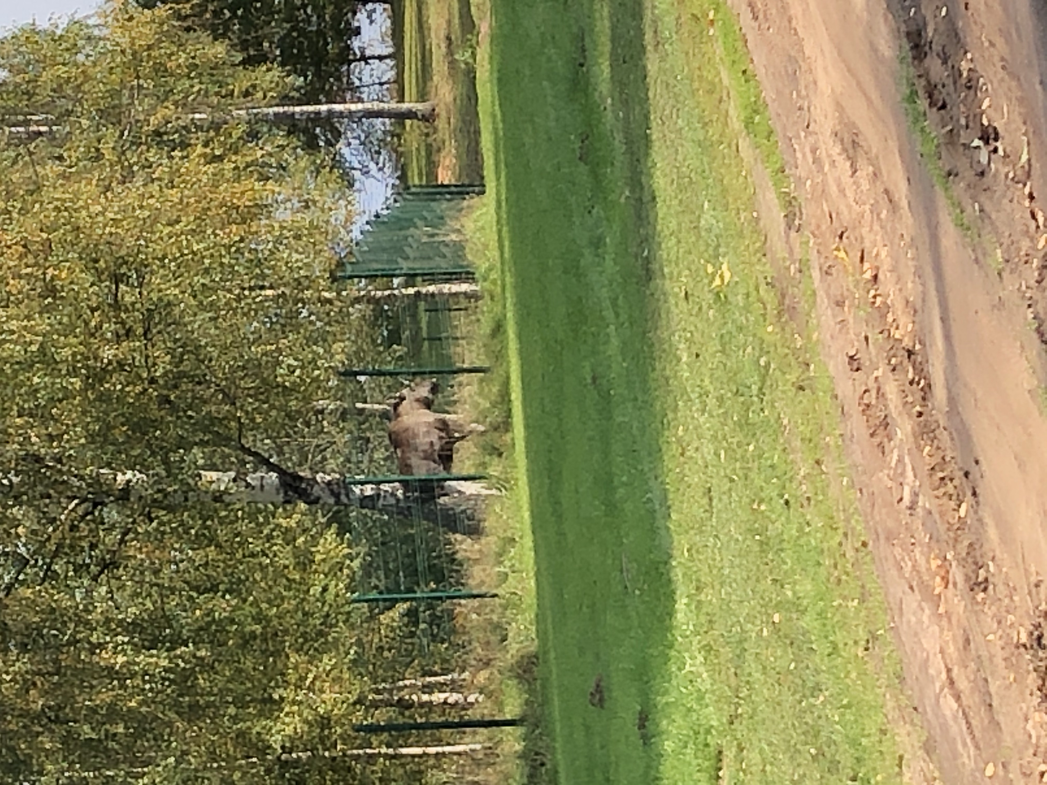 Фото Яр-Селигер