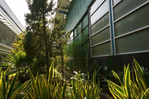 Фото Hotel Asri Plaza Asia Tasikmalaya