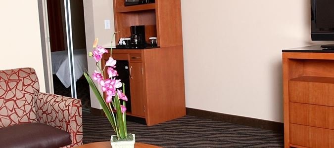 Фото Hilton Garden Inn Chesapeake/Suffolk