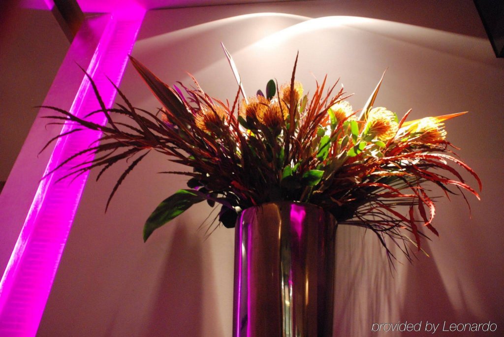 Фото Sina The Gray