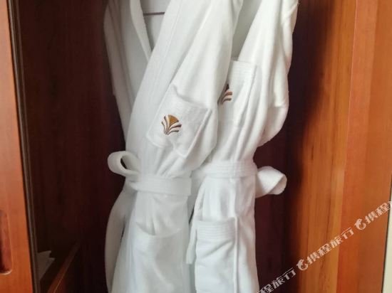 Фото Baotou Wassim Hotel Tianfu Plaza