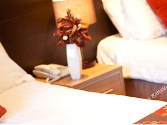 Фото Strangford Arms Hotel Newtownards