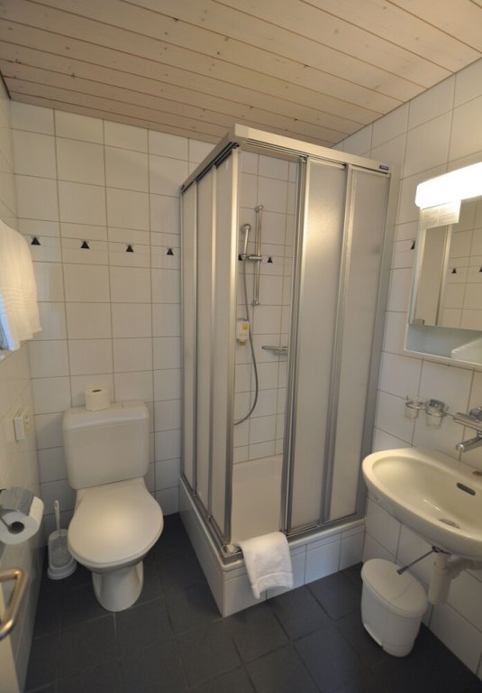 Фото Aparthotel Goldey Interlaken