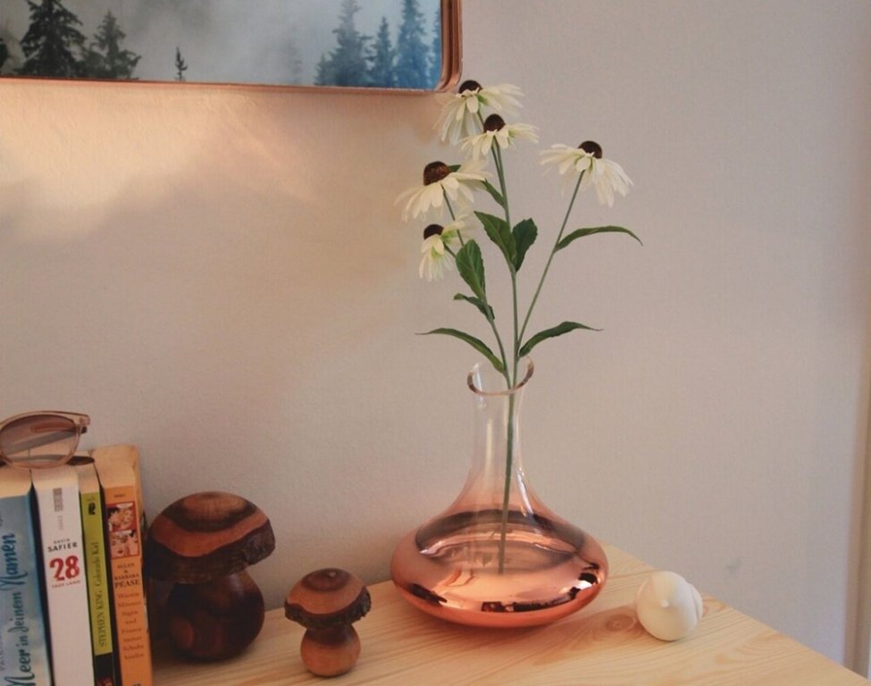 Фото Hostel FerienNest Haus Braunfels