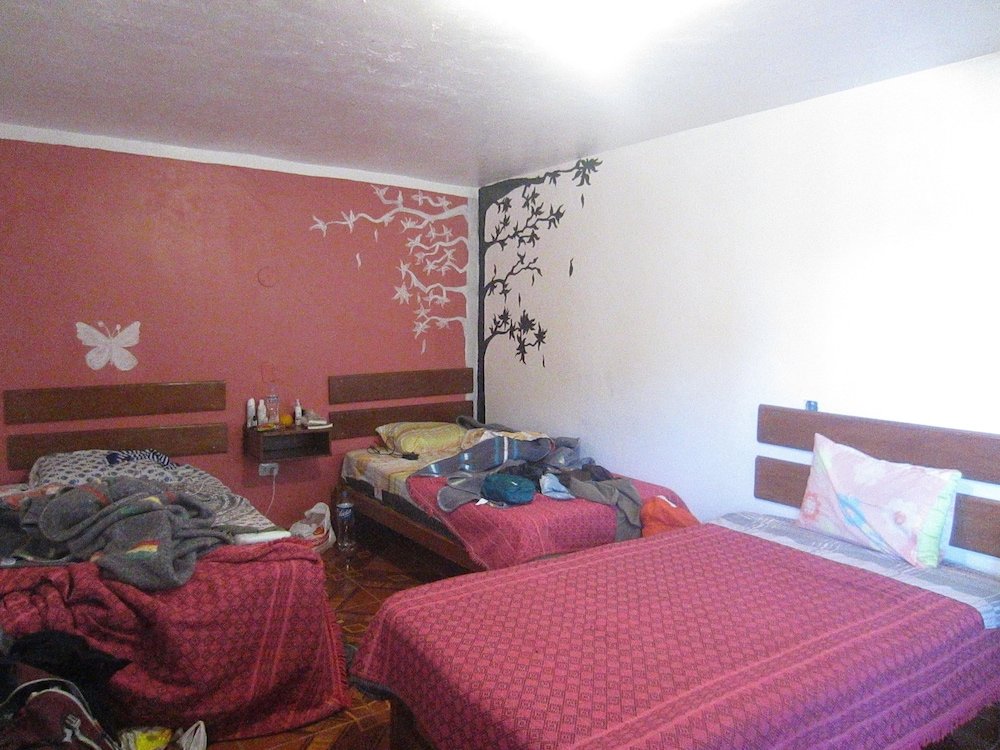 Фото Vacahouse 2 Eco-Hostel