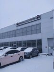 Fiat (Novomoskovskoye Highway, 27) ، وكلاء سيارات