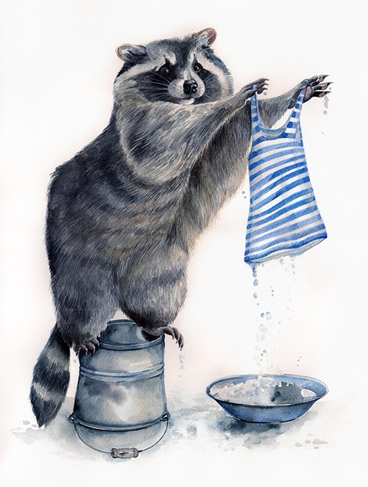 Картинка енот полоскун стирает