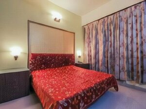 Гостиница Hotel Airlines