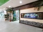Akvamir (Pavlovsky Highway, 251В), pet shop