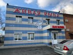 Belovofish (ulitsa Tereshkovoy, 45В), fish and seafood