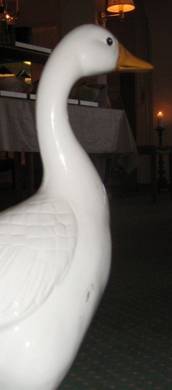 Фото Pensionat Enehall