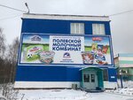 ОАО Полевской молочный комбинат (территория Восточный Промышленный Район, 4/2), производство продуктов питания в Полевском