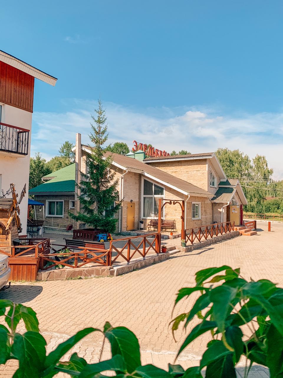 Фото Эдельвейс