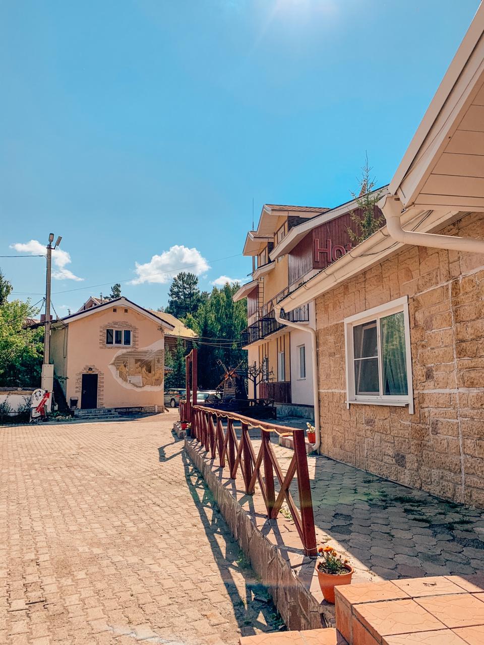 Фото Эдельвейс