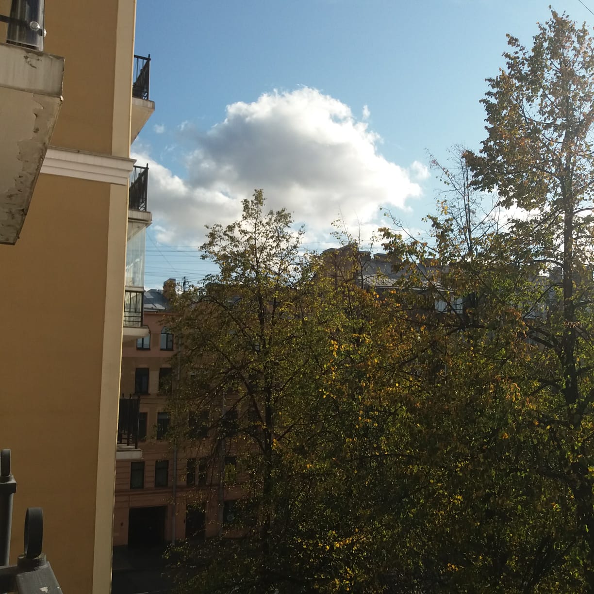 Фото Ленинградское Время