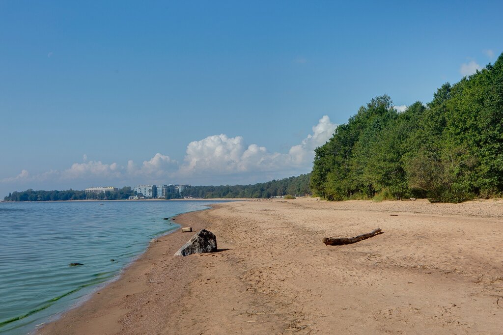 Репино краун парк отель
