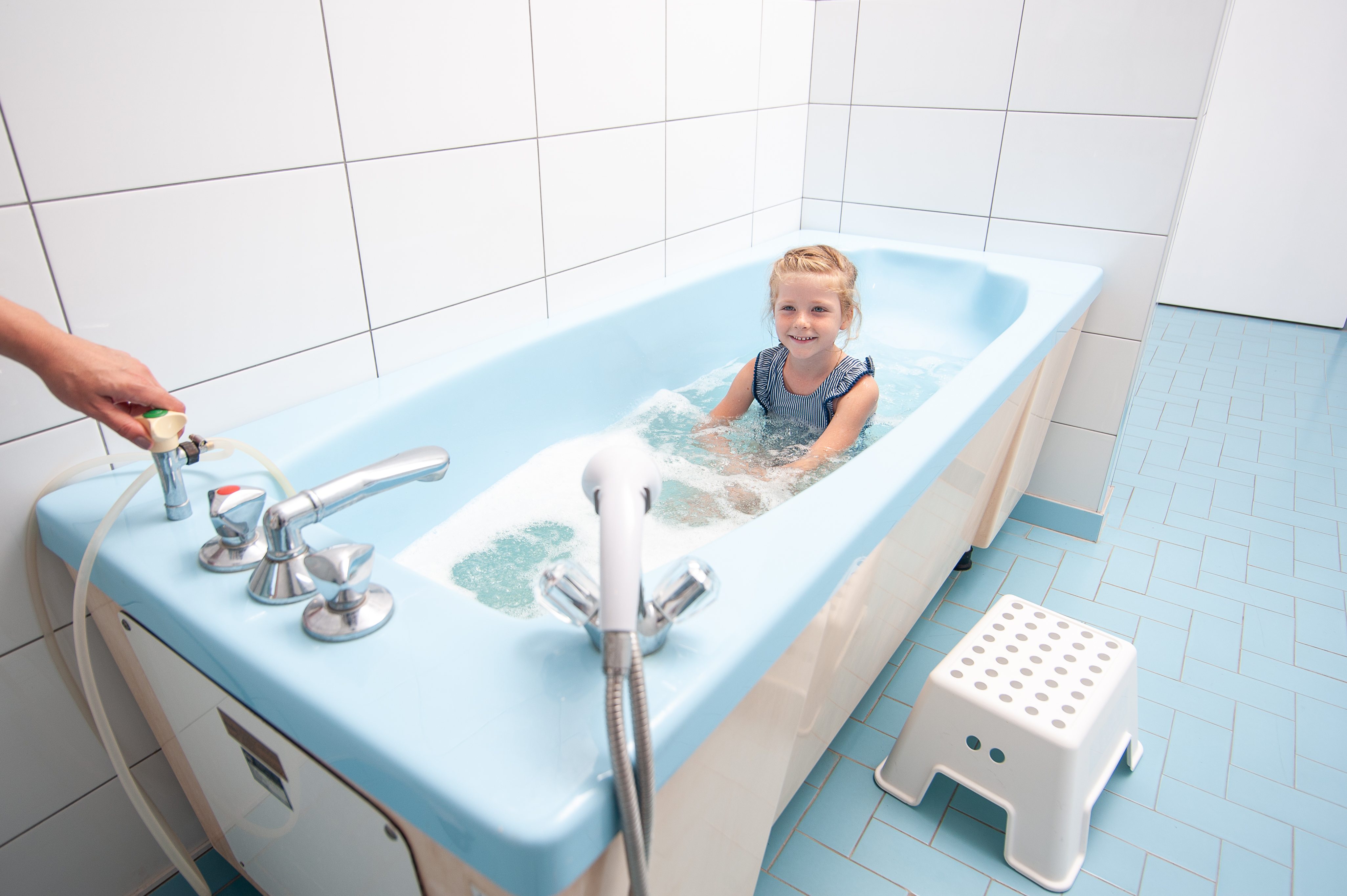 Фото Самшитовая роща