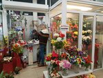 Цветы (Bukharestskaya Street, 90), flower shop