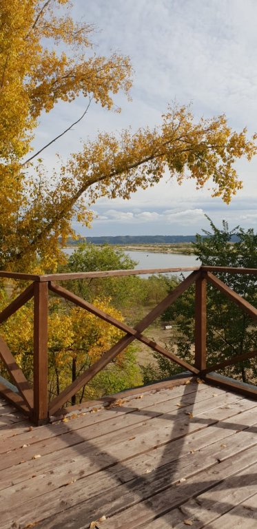 Фото Займище