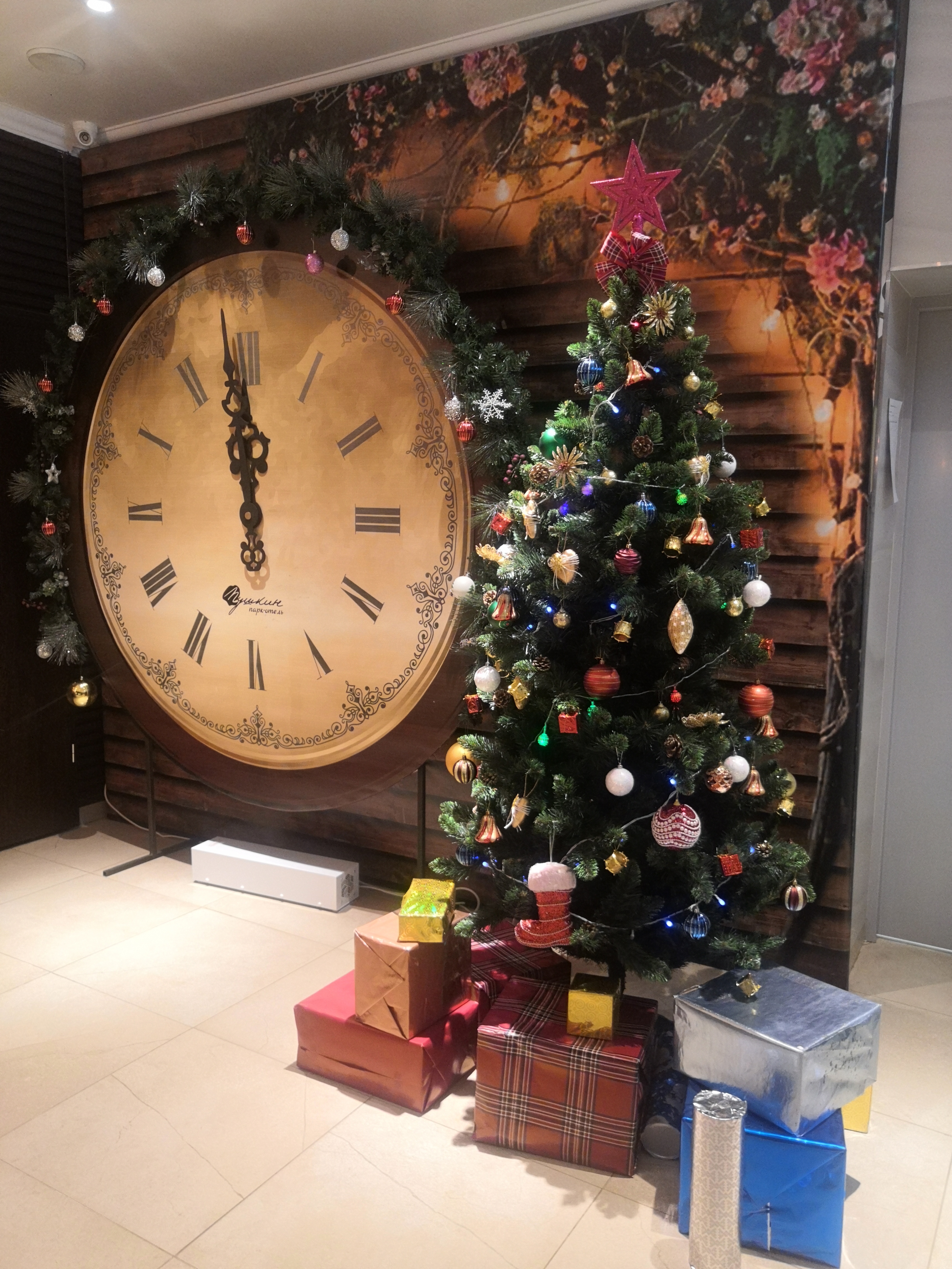 Фото Парк Отель Пушкин