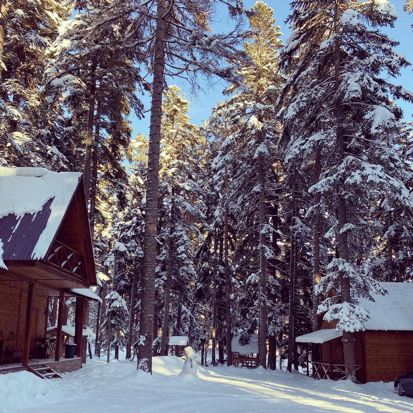 Фото Хижина