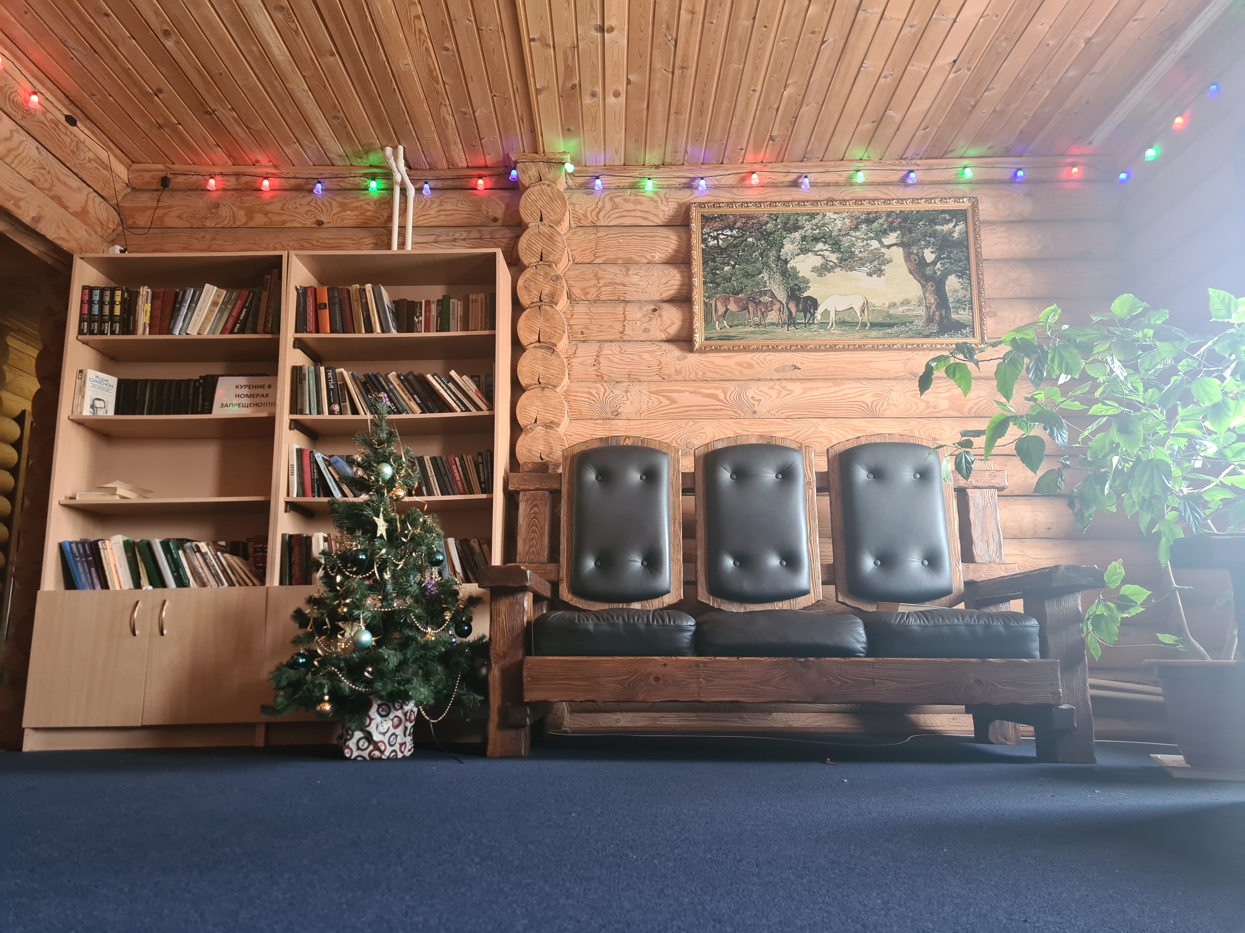 Фото Кленовая роща