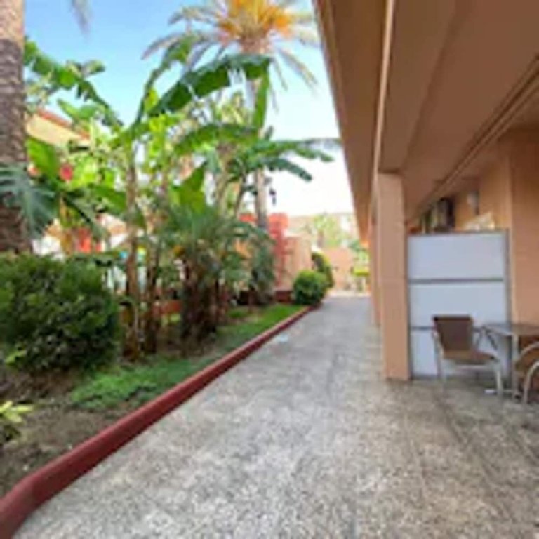 Фото Aparthotel Solifemar