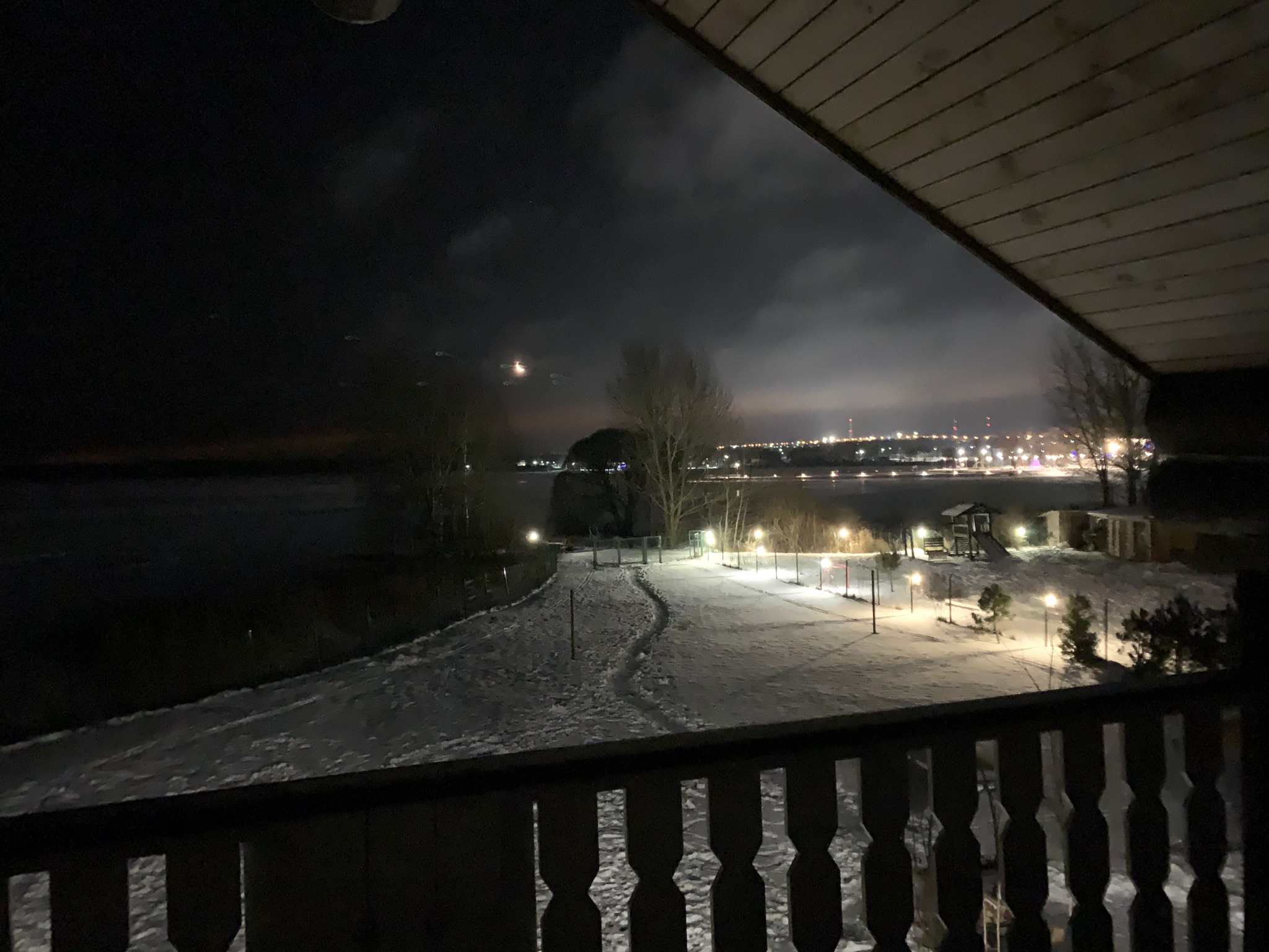 Фото Сорока