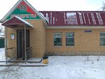 Продуктовый магазин (derevnya Zolotovo, Moskovskaya ulitsa, с1), grocery