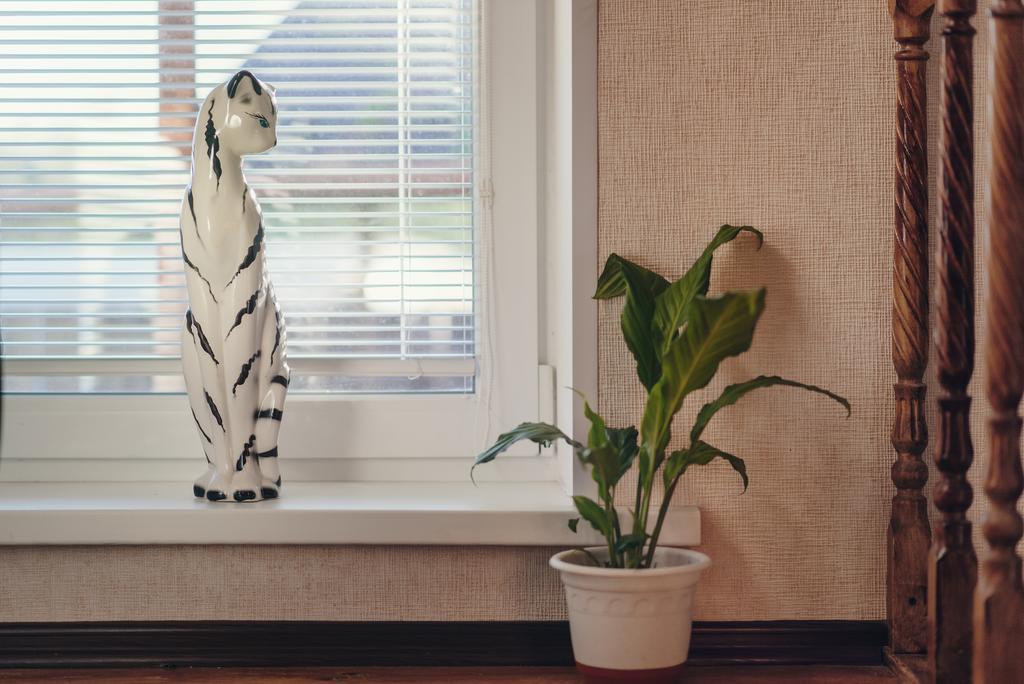 Фото Суздаляночка