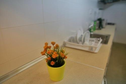 Фото Hotel Bulevar