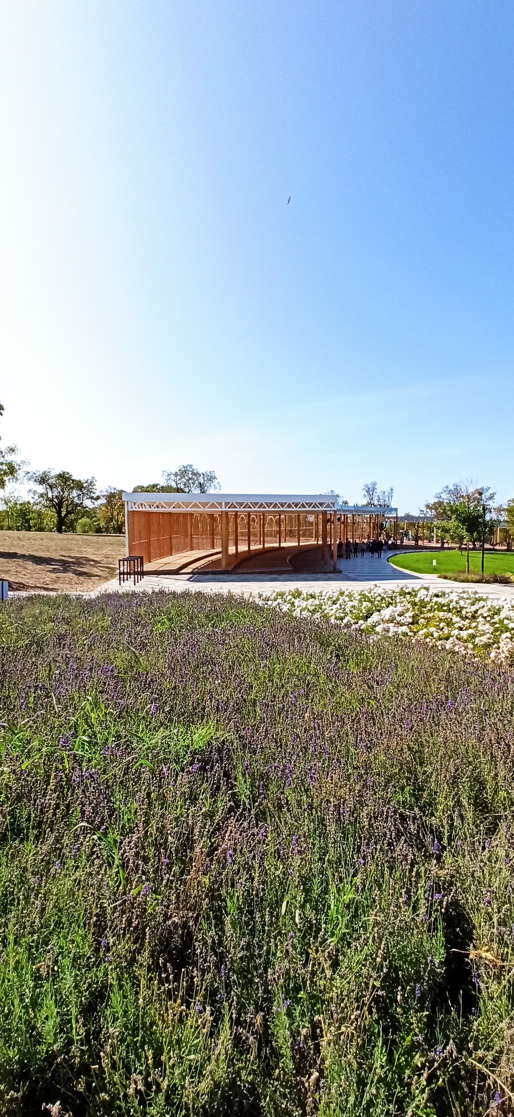 Фото Лазурный