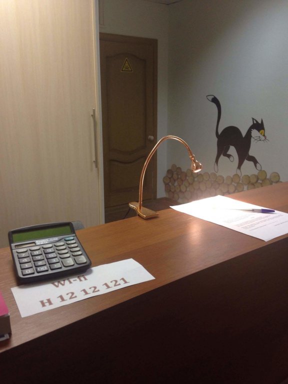 Фото Пара Тапок