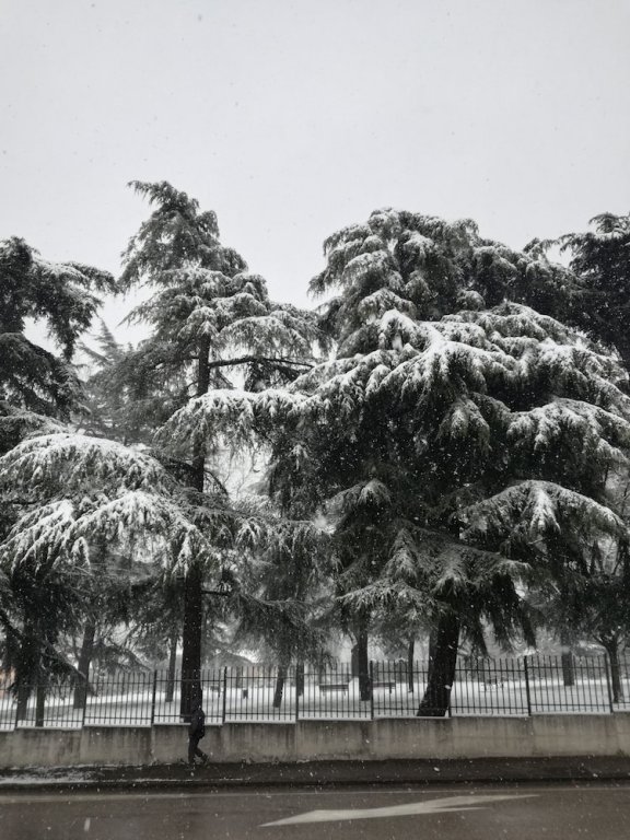 Фото Hotel Giulietta