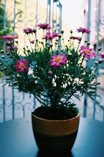 Hotel Santa Clara, Naples, photo