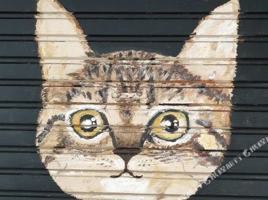 Фото Cocoa Mews Cafe & Homestay