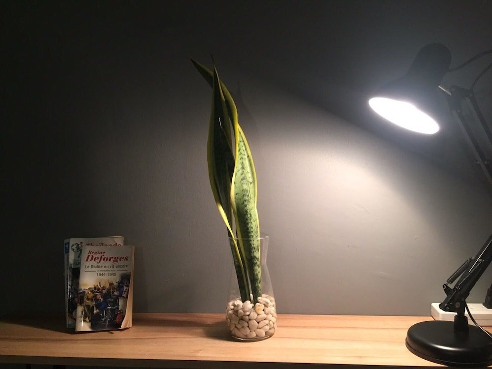 Фото Miku Guesthouse