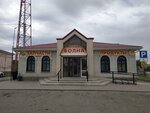 Волна (sloboda Bolshaya Martynovka, ulitsa Lenina, 44), tienda de productos
