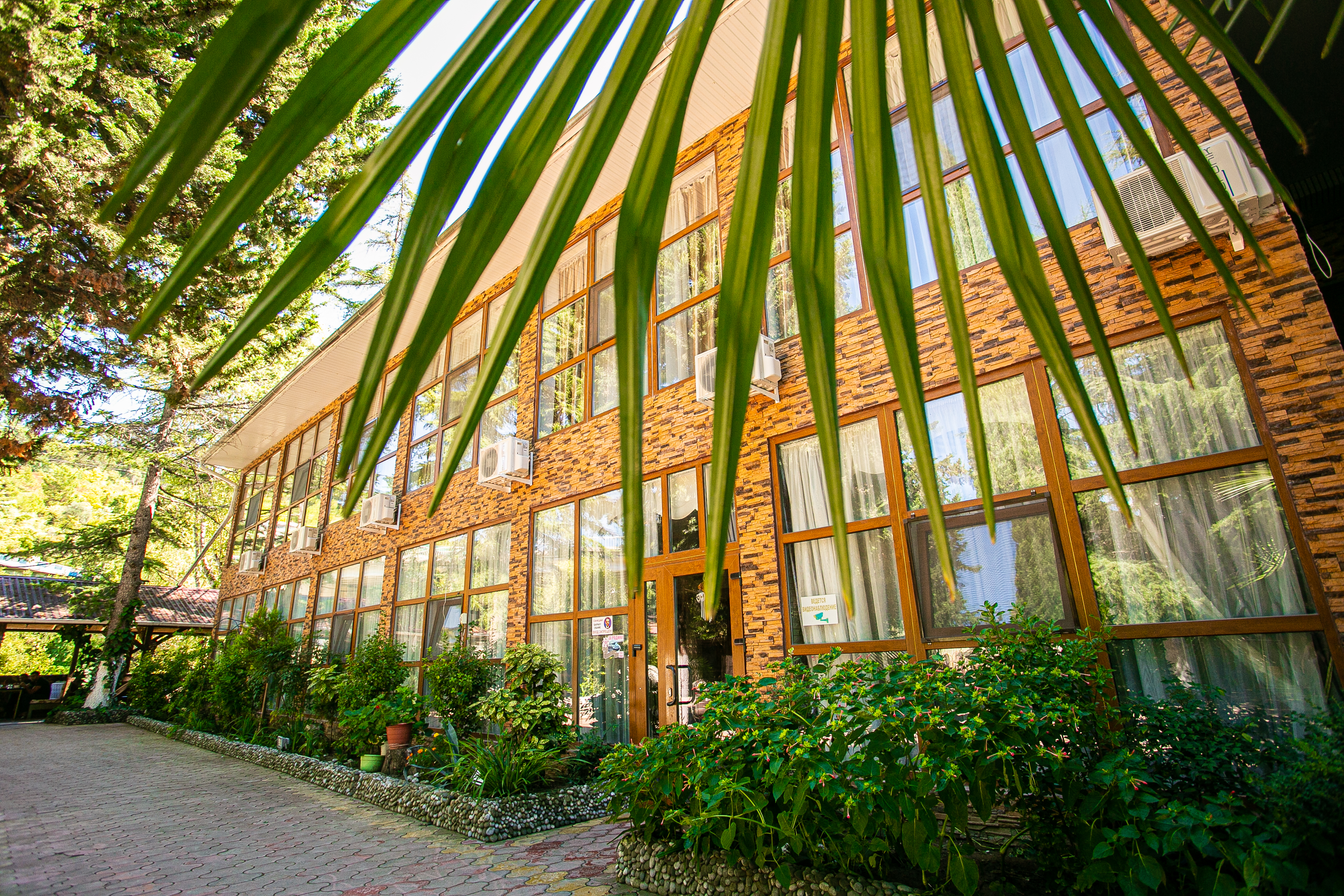 Фото Гости Кавказа