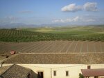 Agriturismo Tenuta Fratelli Sanacore