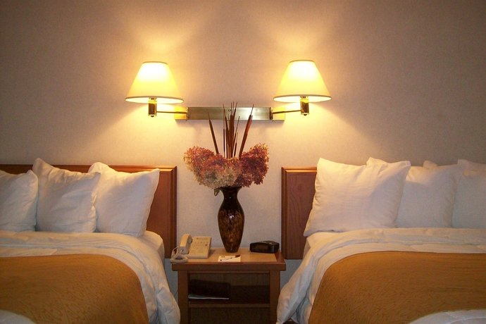 Фото Quality Inn & Suites & Conference Centre